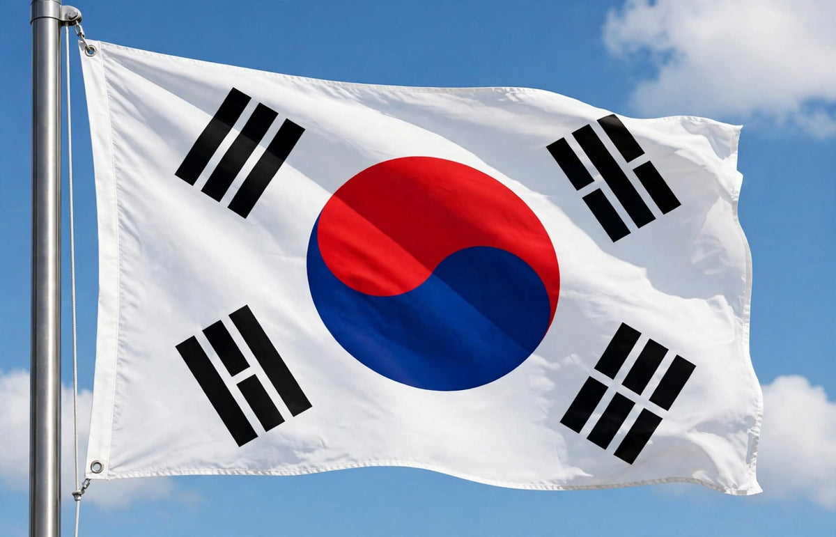 SOUTH KOREA NATIONAL FLAG SEOUL KOREAN 5X3 FLAGS