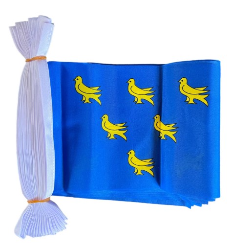 SUSSEX 9 METRE BUNTING