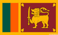 SRI LANKA FLAG 3X2 feet 90cm x 60cm FLAGS SRI LANKAN