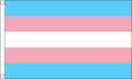TRANSGENDER FLAG 3X2 feet 90cm x 60cm FLAGS GAY LESBIAN PRIDE LIFESTYLE