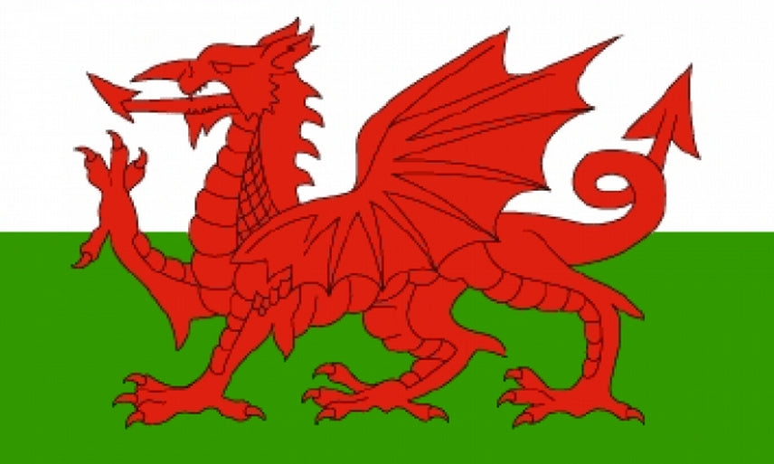 WALES FLAG 8X5 FEET HUGE welsh Dragon CARDIFF WREXHAM Swansea St Davids UK FLAGS