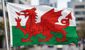WALES 5x3 feet FLAG 150cm x 90cm