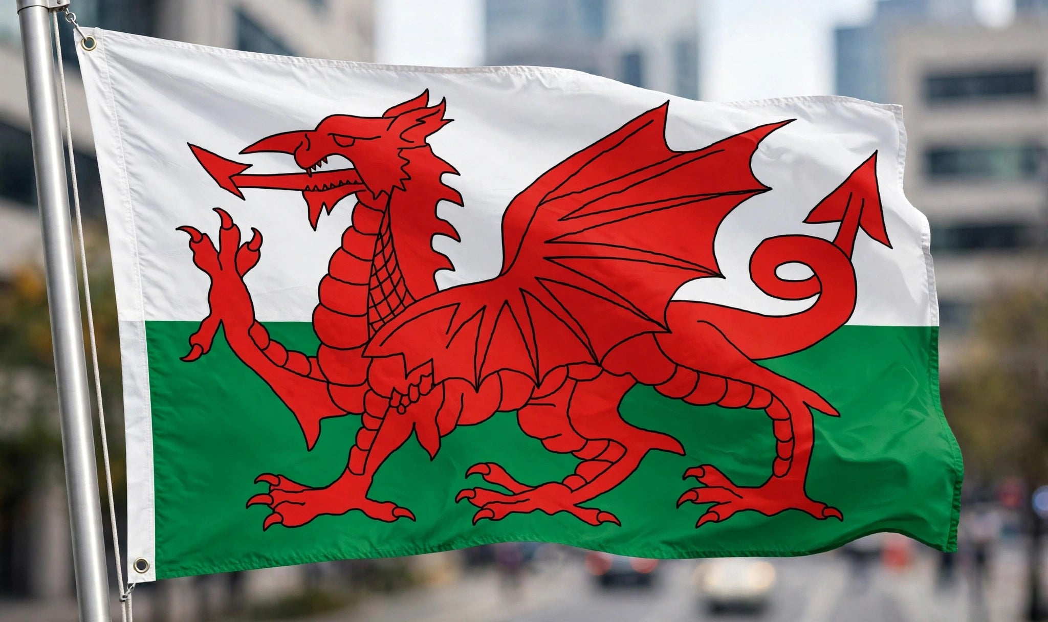 WALES 5x3 feet FLAG 150cm x 90cm
