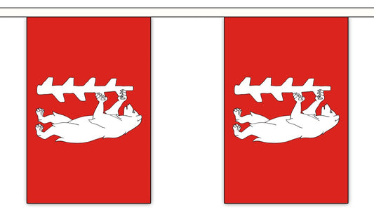 WARWICKSHIRE NEW 9 METRE BUNTING 30 FLAGS flag 22cm x 15cm