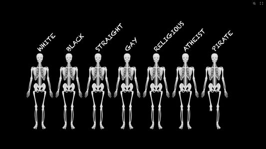 WE ARE ALL THE SAME FLAG  150cm x 90cm (5x3 feet)