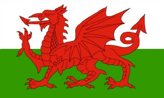 WALES FLAG 3X2 feet 90cm x 60cm FLAGS WELSH