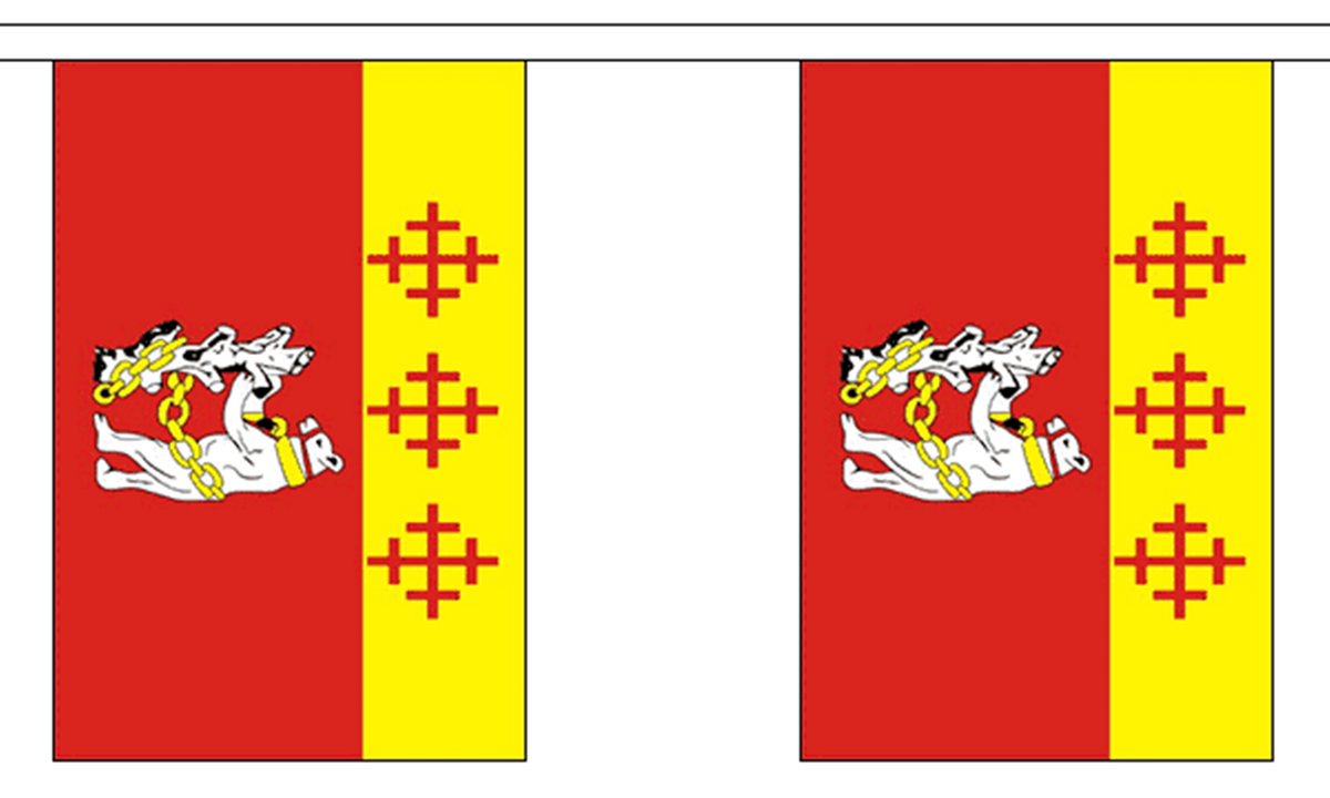 WARWICKSHIRE OLD STYLE 9 METRE BUNTING 30 FLAGS flag 22cm x 15cm