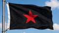 ZAPATISTAS FLAG 150cm x 90cm (5x3 feet)
