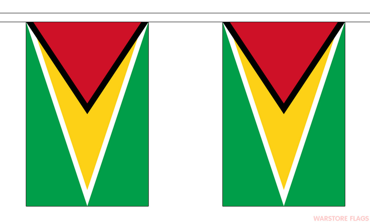 GUYANA 3 METRE BUNTING 10 FLAGS flag CARIBBEAN