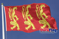 King Richard 1st Small DuraFlag Rope and Toggled (3ft x 2ft)