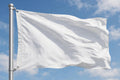 PLAIN WHITE FLAG 5X3 FEET festival festivals party banner flags